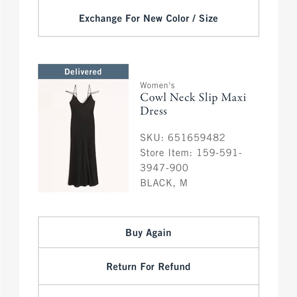 ABERCROMBIE AND FITCH NWT Cowl Neck Slip Maxi Dress size medium